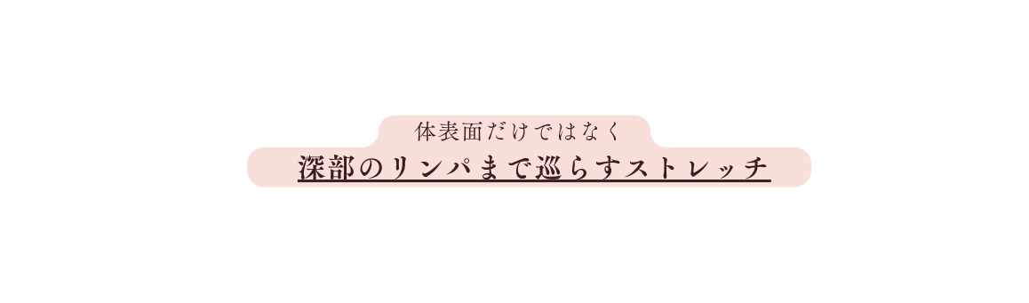 体表面だけではなく 深部のリンパまで巡らすストレッチ